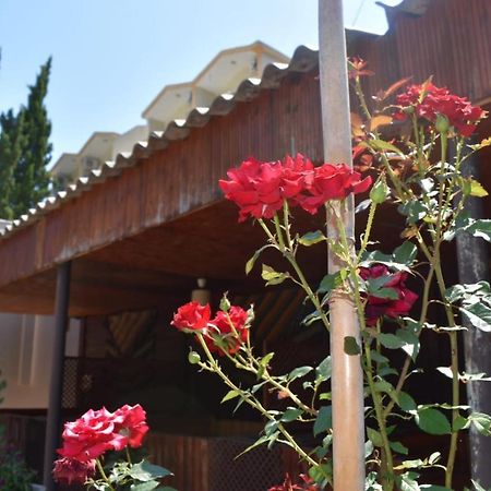 Terko Hotel Pansiyon Beldibi (Kemer) Exterior foto