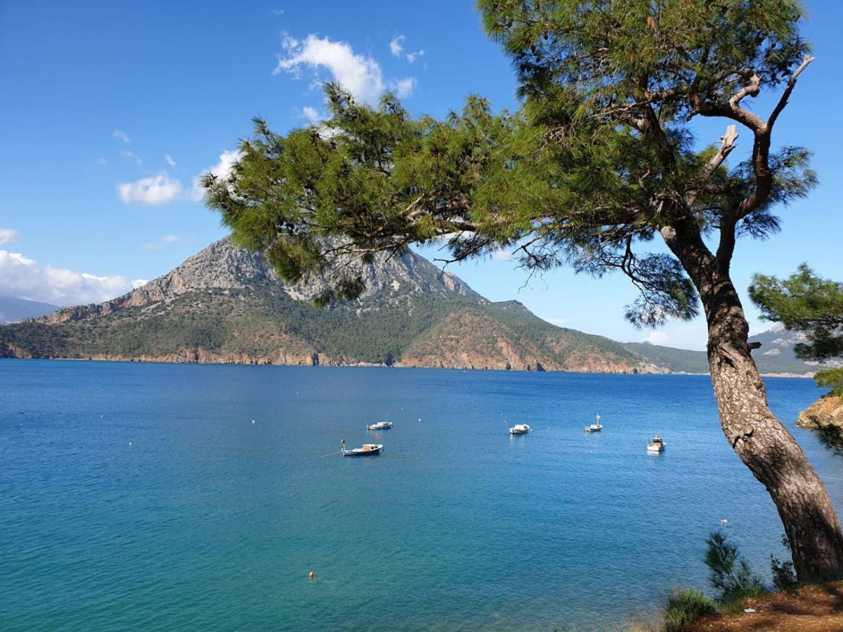 Terko Hotel Pansiyon Beldibi (Kemer) Exterior foto